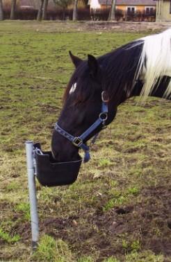 Frostfri drikkeautomat til k&oslash;er og heste - 40 cm